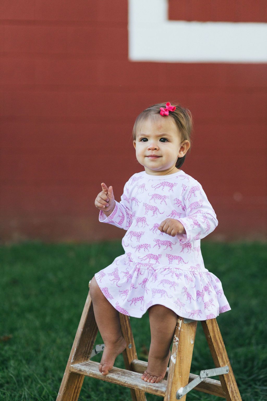 Pineapple Sunshine Pink Cheetah Swing Dress