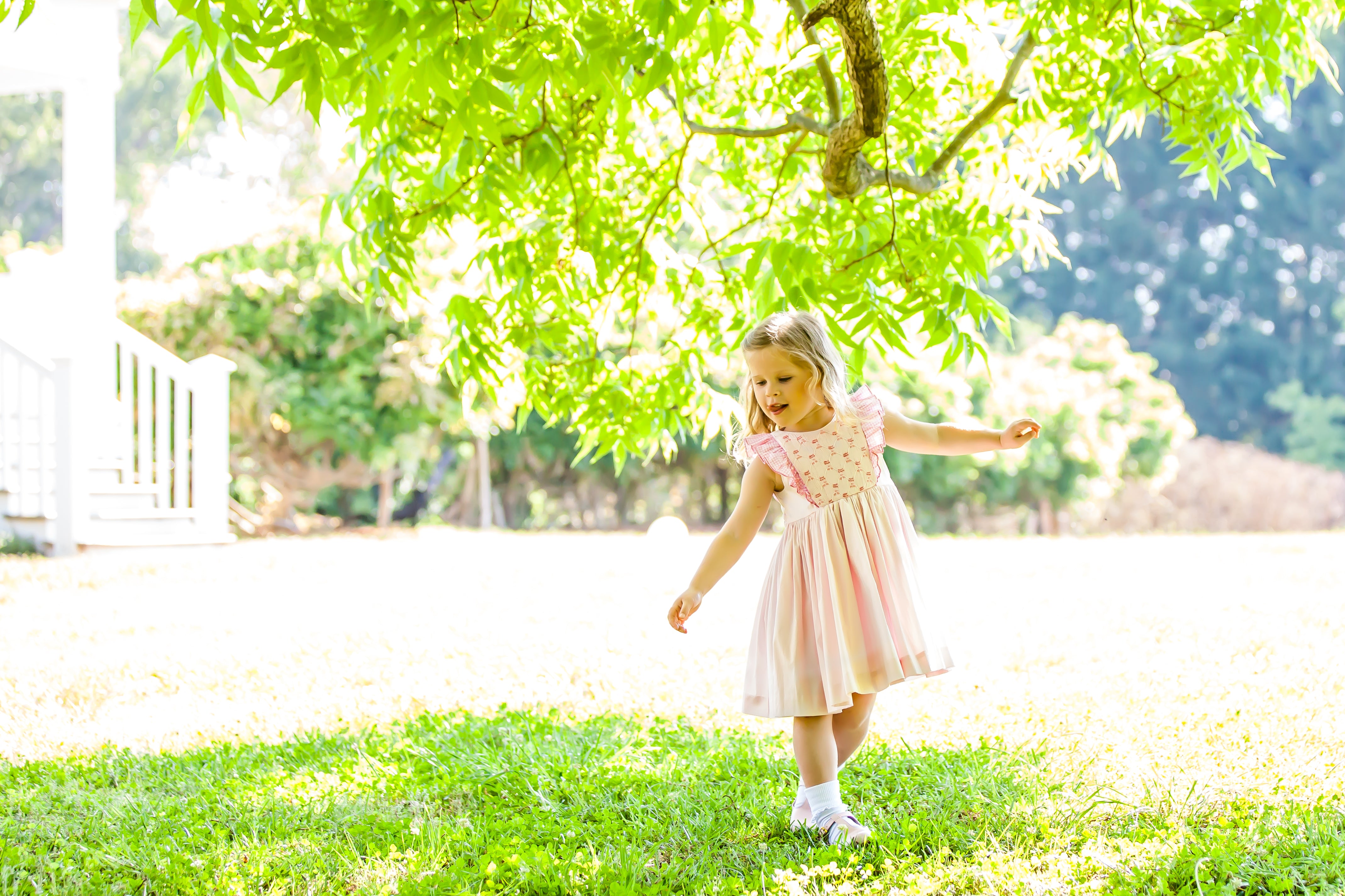 Netti Pink Gingham Dress