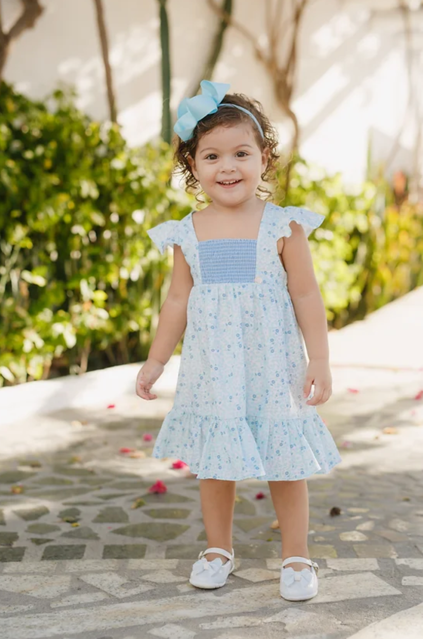 Kafka Baby Blue Floral Smocked Dress - Little Birdies