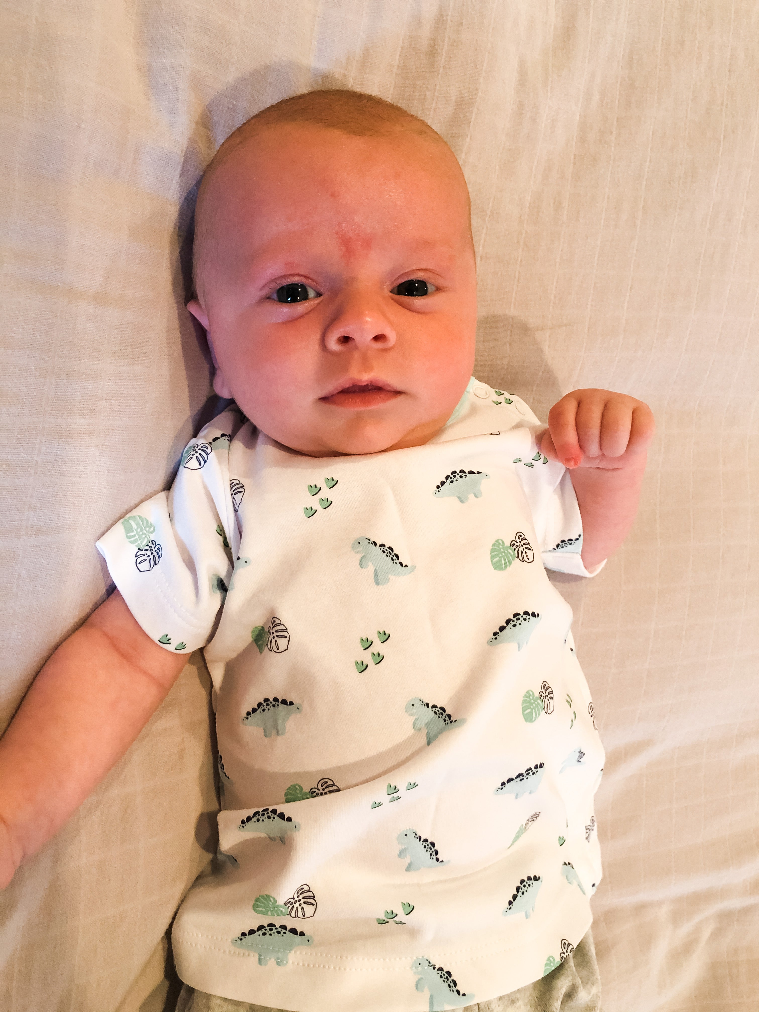 pineapple sunshine dino print tee - little birdies