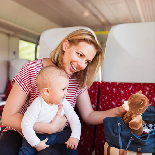 A Mom's Guide to Stress-Free Traveling with a Baby - Little Birdies blog