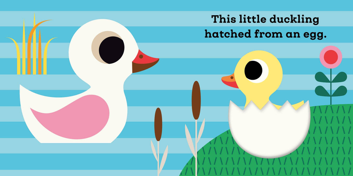 This Little Duckling by Ingela P. Arrhenius baby book - Little Birdies Boutique