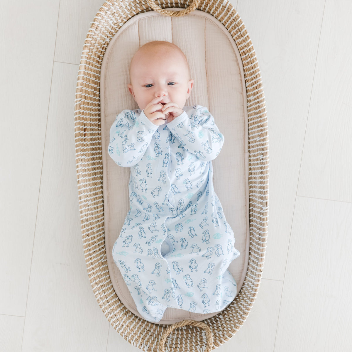 Seaside Circus Gift Set