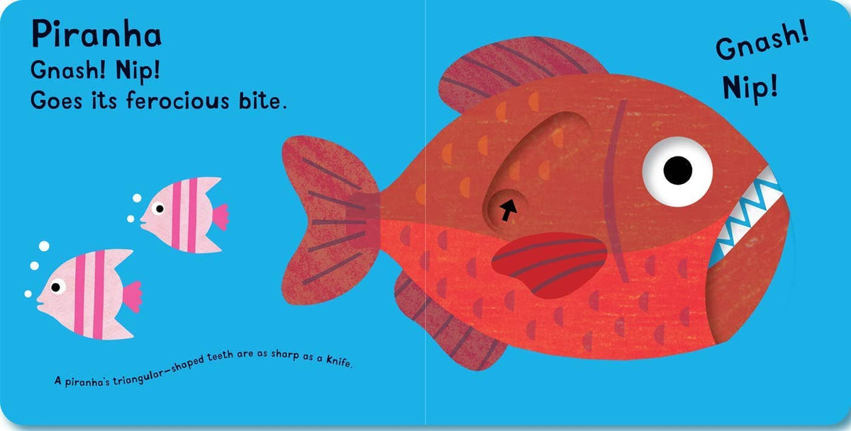 Snap! Snap! I'm a Crocodile! baby book - Little Birdies Boutique