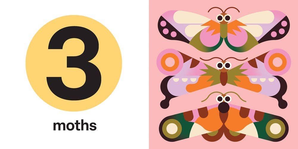 Spring Street Touch and Trace: Numbers baby book - Little Birdies Boutique