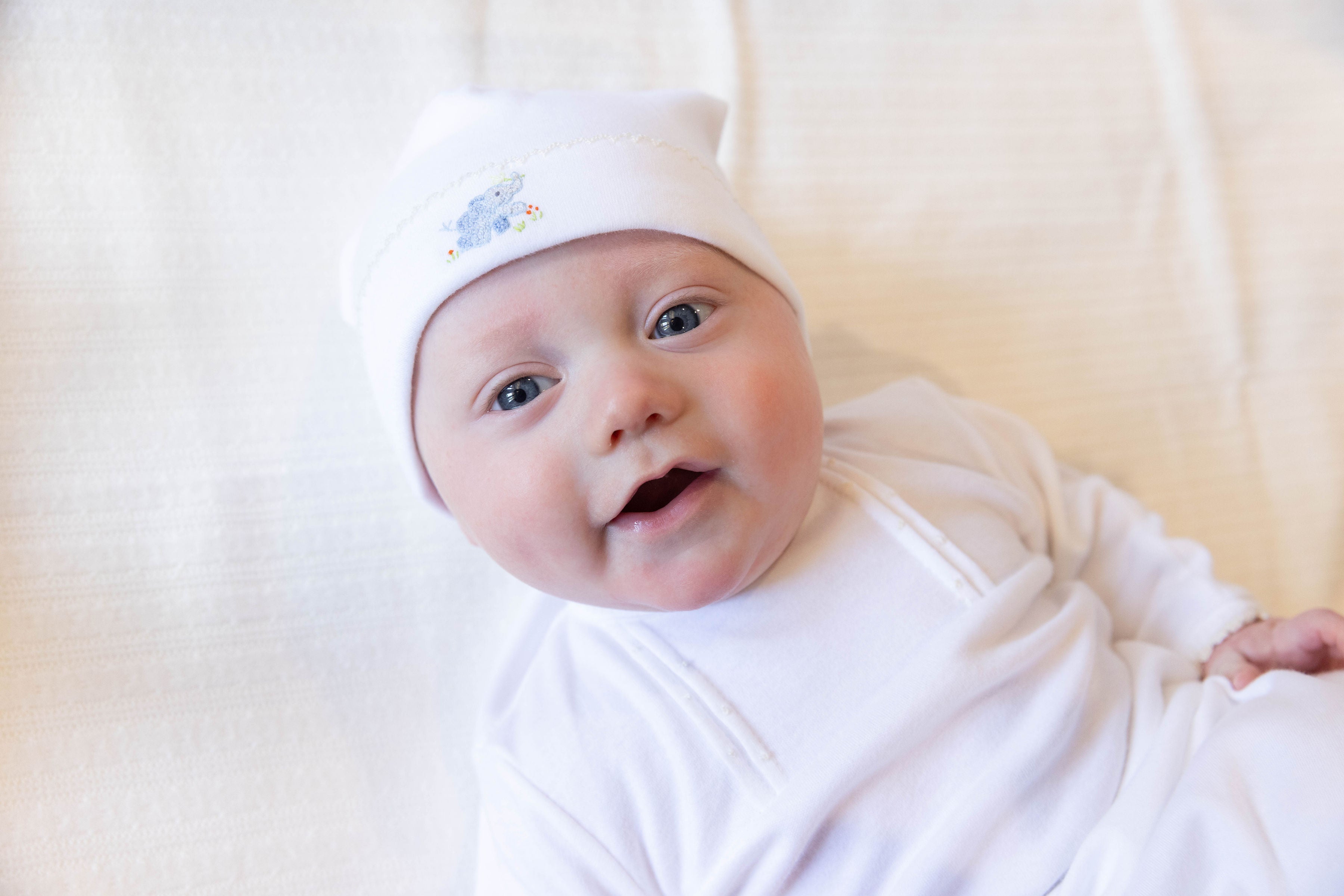 Animal Safari Camden Cap - Egyptian Cotton Knit