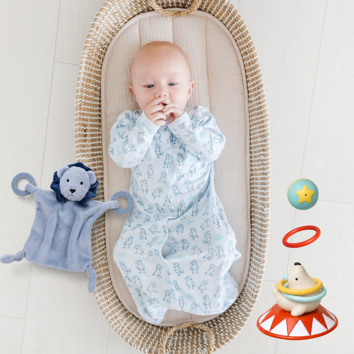 Seaside Circus Gift Set
