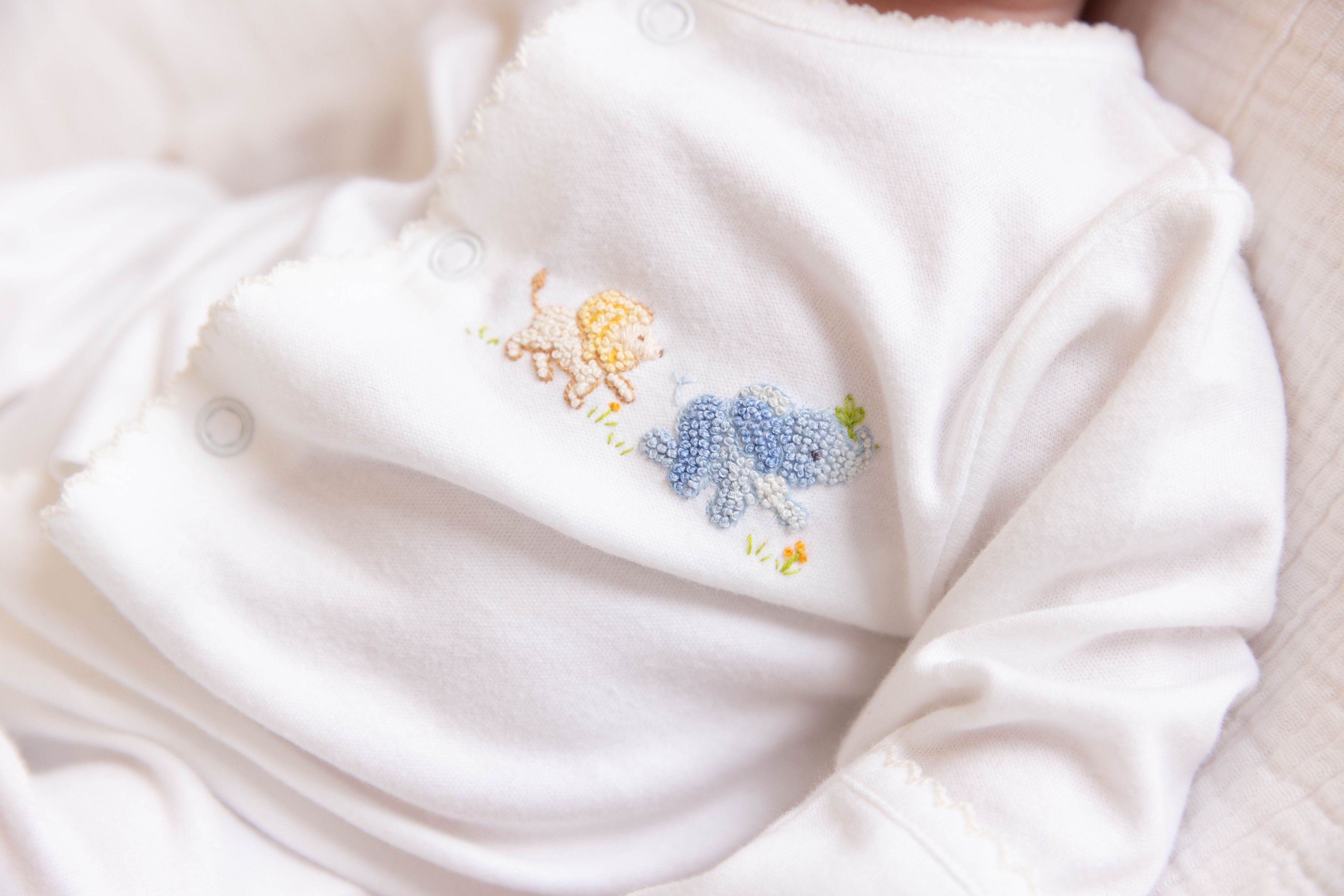Animal Safari Gift Set - Egyptian Cotton Knit
