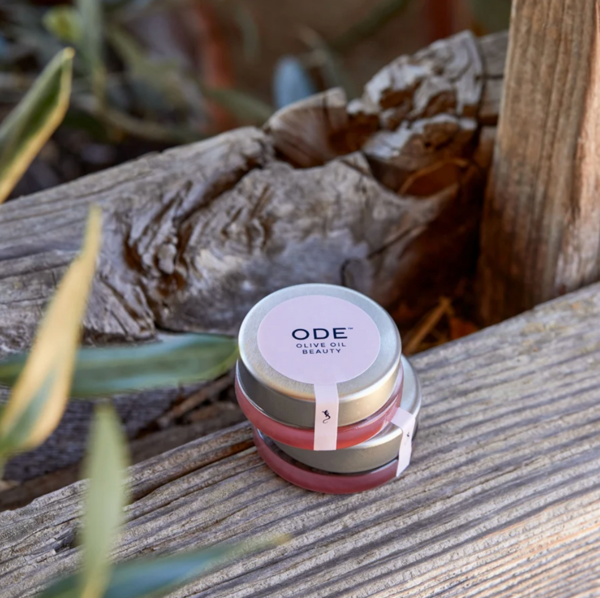 Little Birdies - ODE Olive Oil Beauty Olive Oil Lip Balm: Kiss of Blush