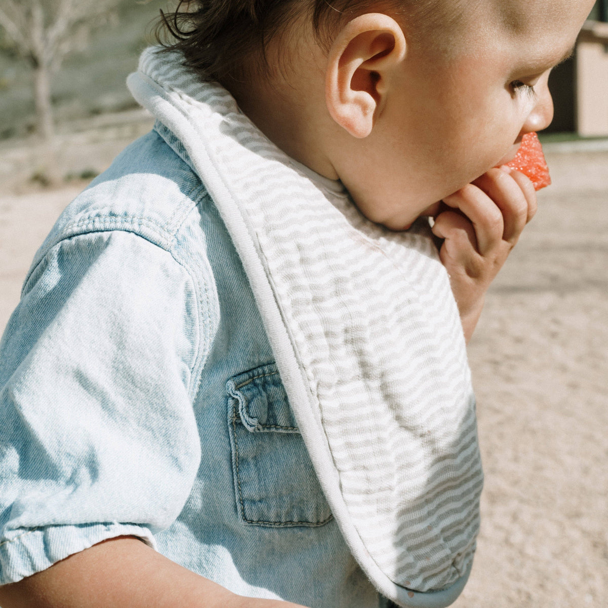 Organic Cotton Muslin Classic Bib 3 Pack - Soft Neutrals Little Unicorn Rosie Bib Set Gender Neutral Gift - Little Birdies