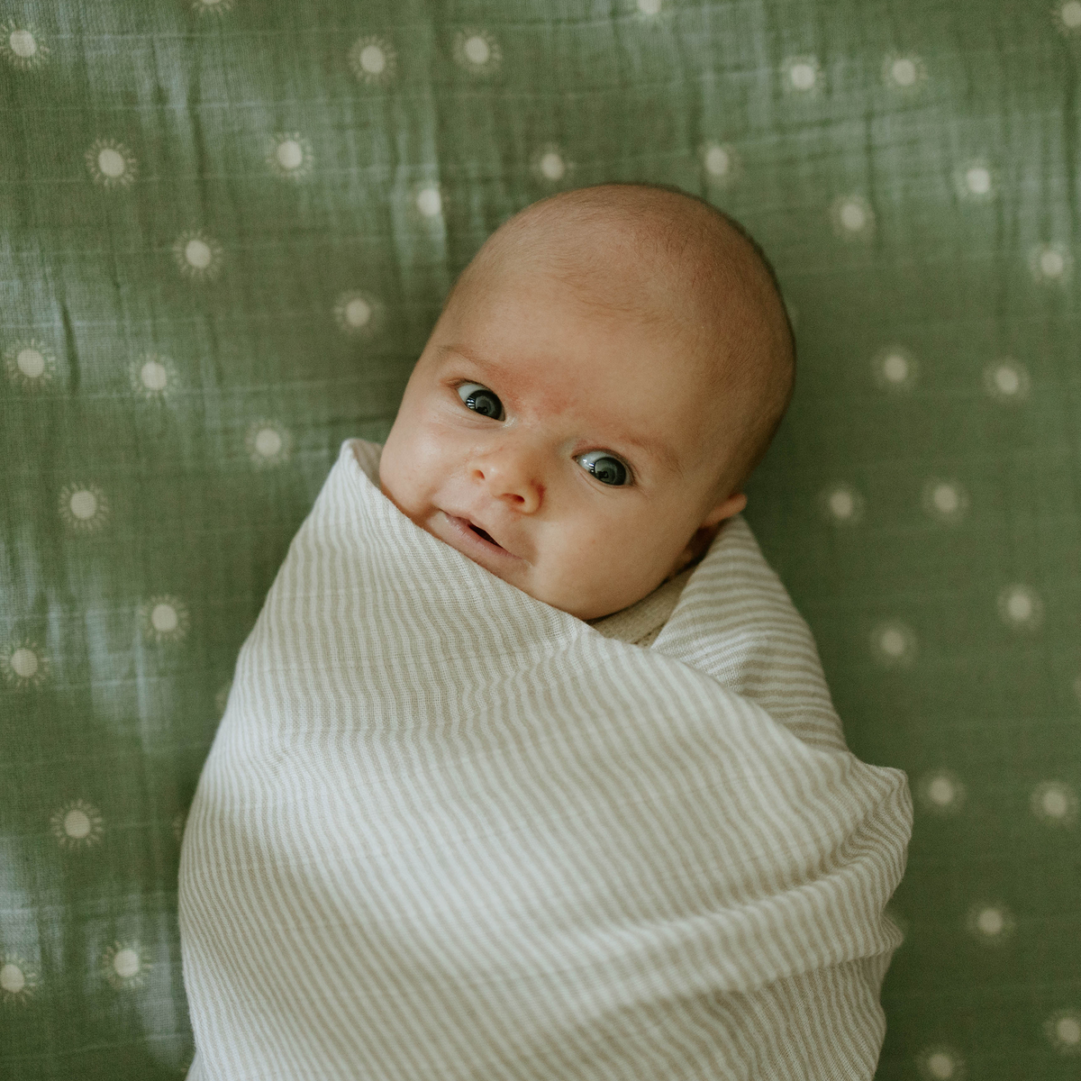 Organic Cotton Muslin Swaddle Blanket - Sand Stripe Little Unicorn Gender Neutral Swaddle Blanket - Little Birdies 