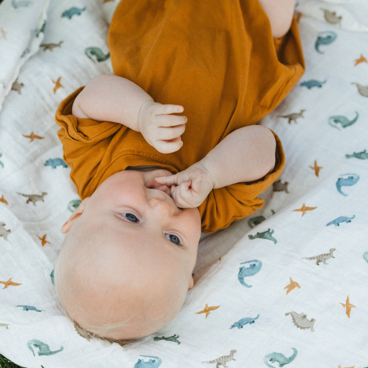 Organic Cotton Muslin Swaddle Blanket - Little Dino