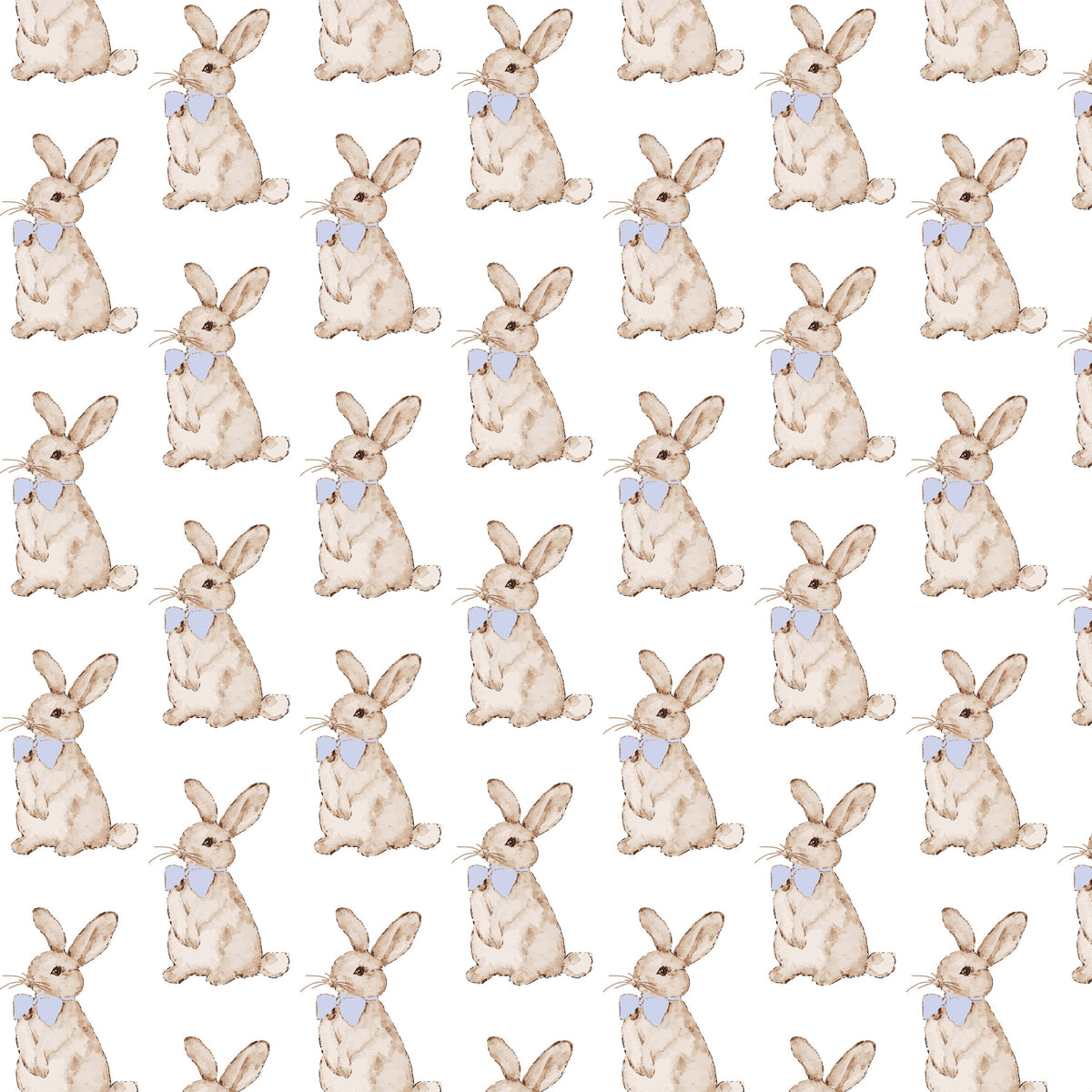 Hudson Boys' Short Set - Easter Bunnies Blue