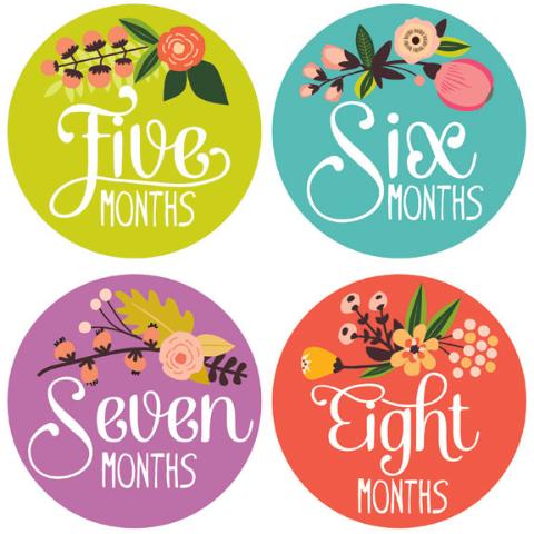 Little Artist Monthly Stickers