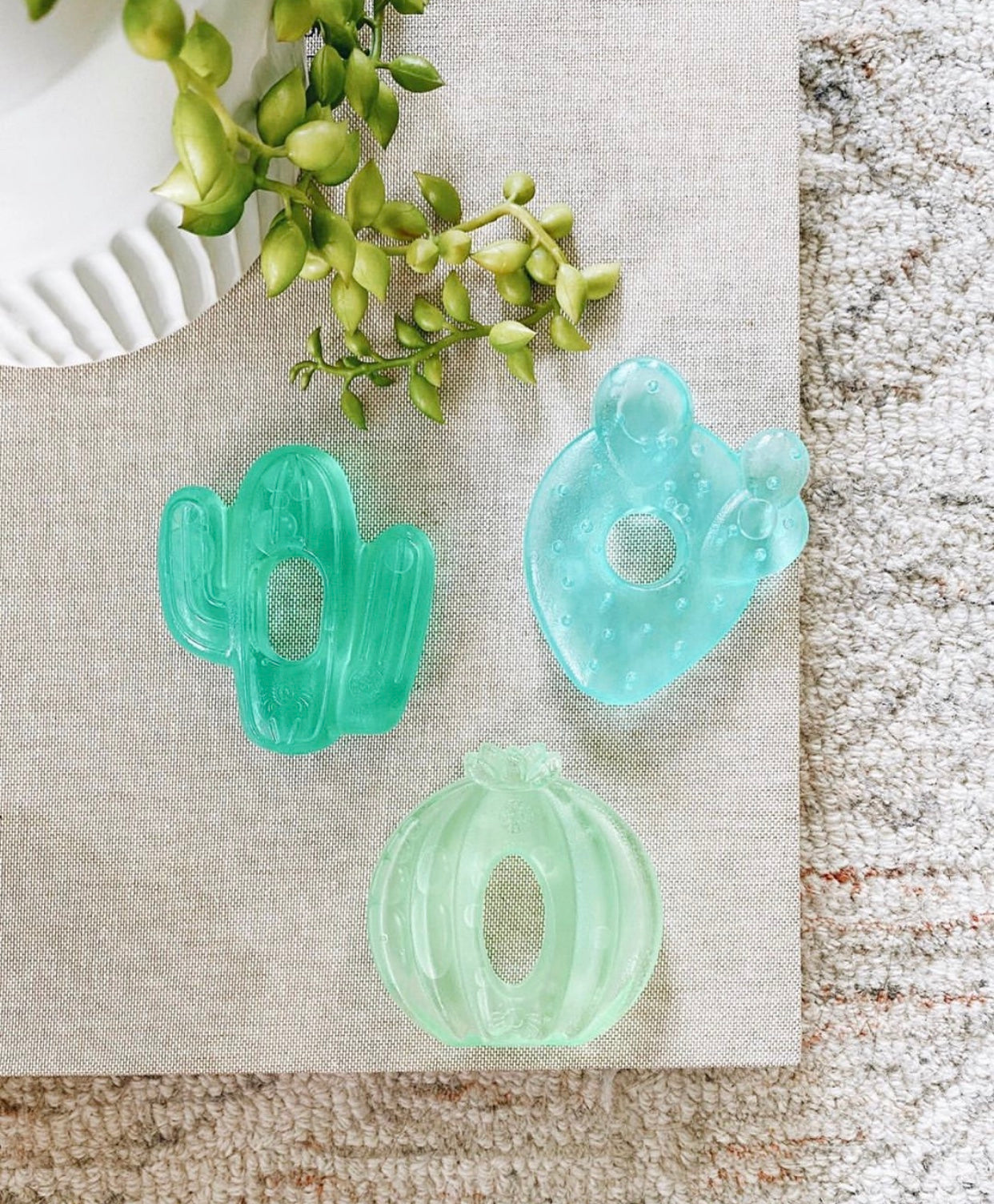 itzy ritzy cactus water filled teethers