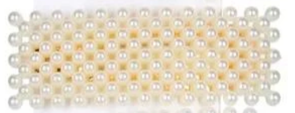 Pearl Hair Clip