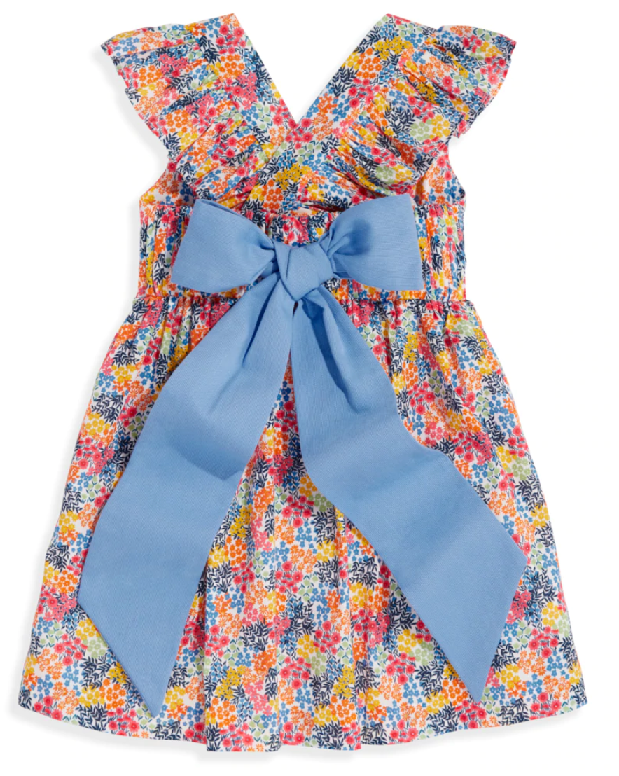 Valerie Dress Little Birdies