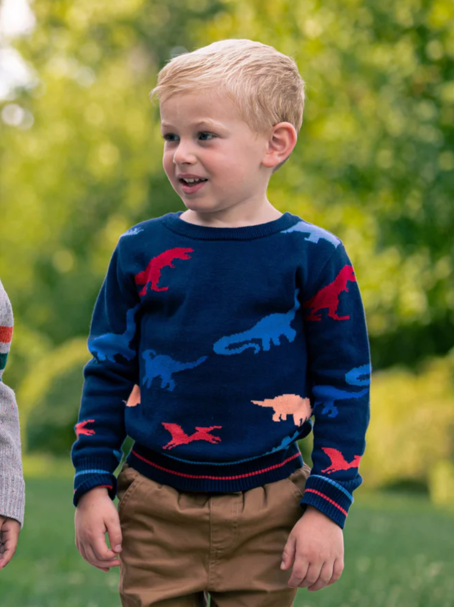 Andy & Evan Dinosaur Pattern Sweater - Little Birdies