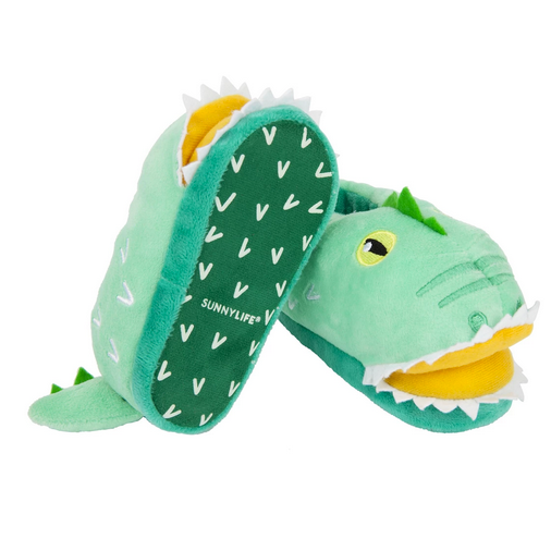 Croc Slippers