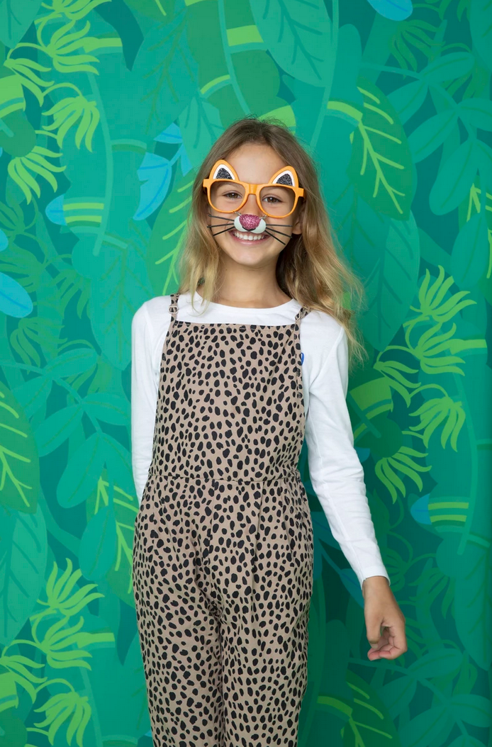 Dress Up Glasses - Tiger