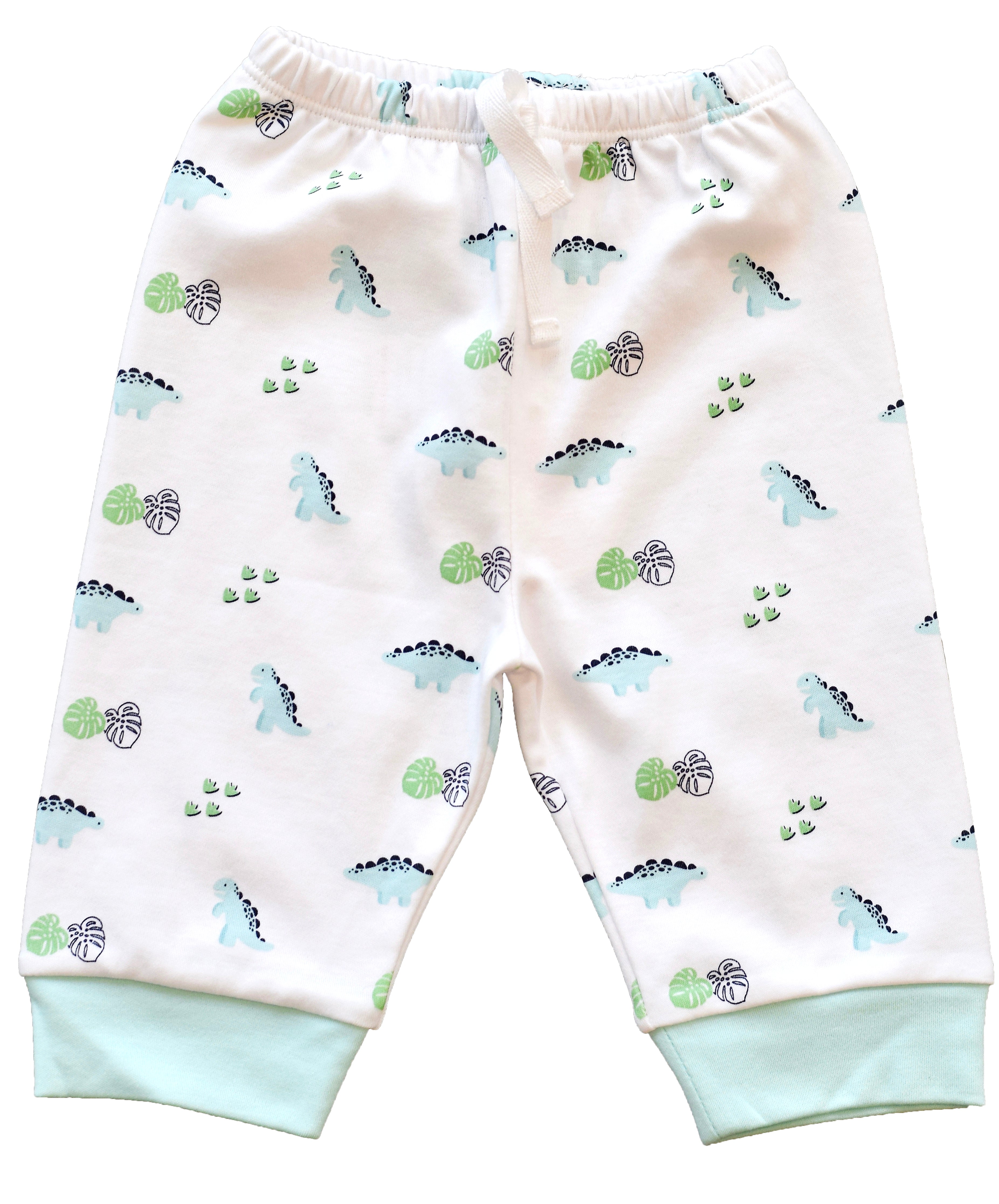 Pineapple Sunshine Dino Print Knit Jogger - Little Birdies